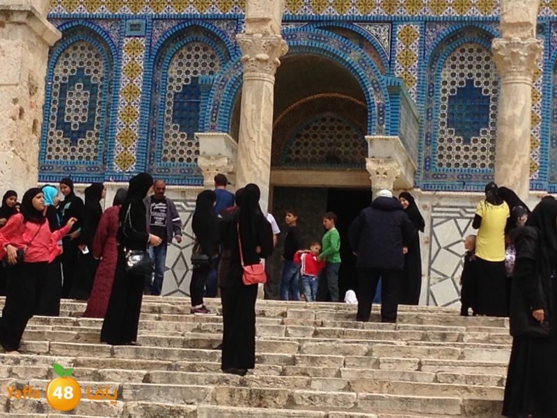 sane3atlud411 (3).jpg